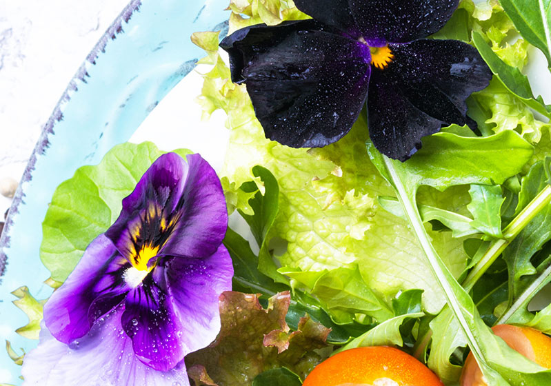 Detox Time! - Detox with Flowers