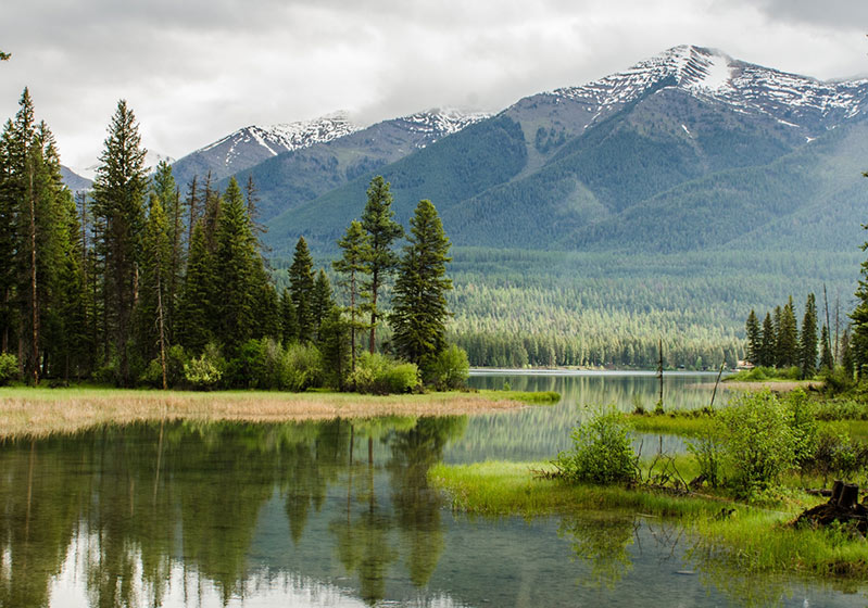 5 Reasons to Be in Touch with Nature