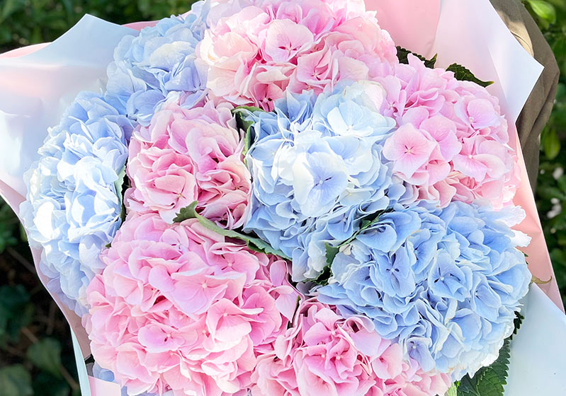 The 5 Most Beautiful Flowers in the World