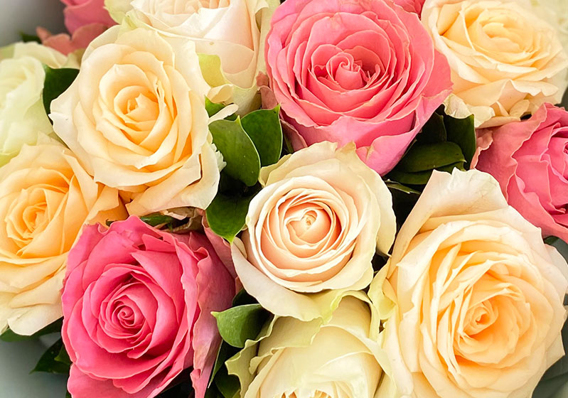 Flowers with the Most Fascinating Fragrances