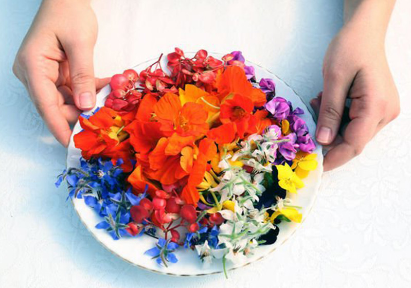 Visual Feast at Dinner: Edible Flowers
