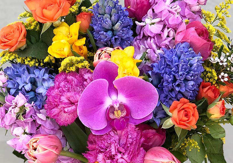 Celebrate March 8, International Women Day with Iconic Women Flowers