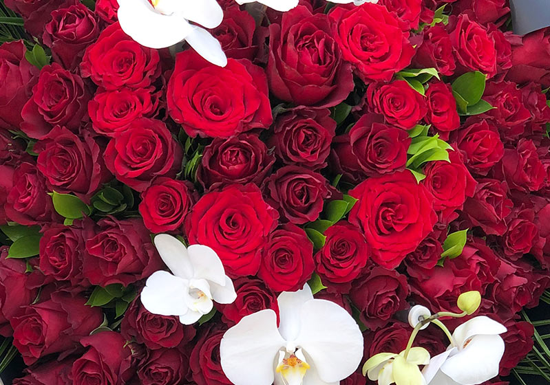Symbol of the Infinty Love: 1001 Red Roses