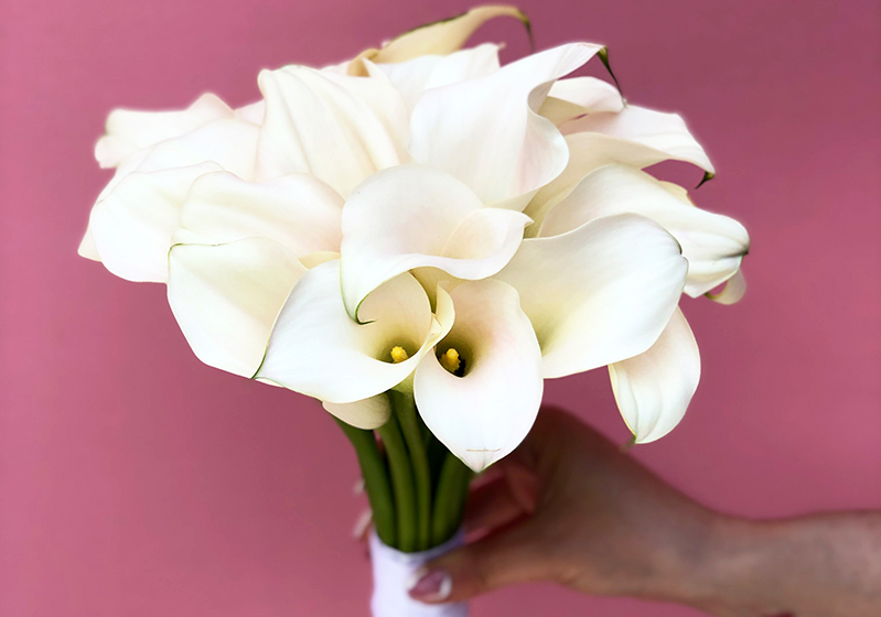 Bouquet Toss Guide