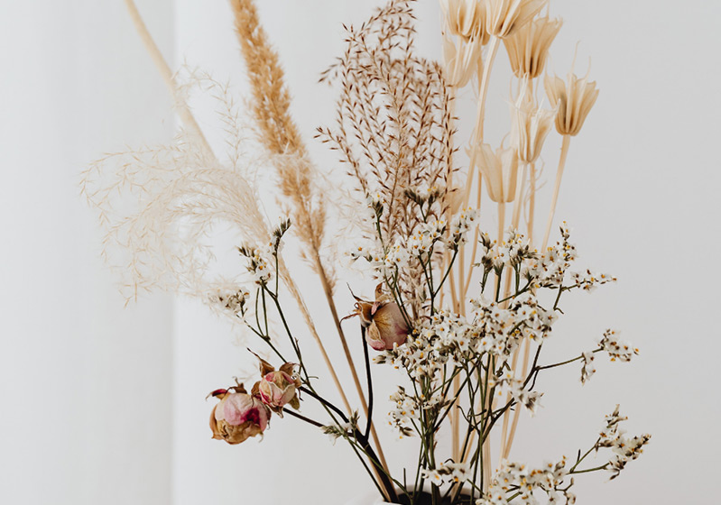 All About Dried Flowers