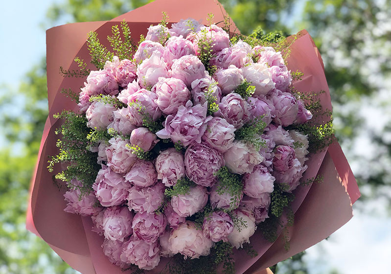 The Most Beautiful May Flowers