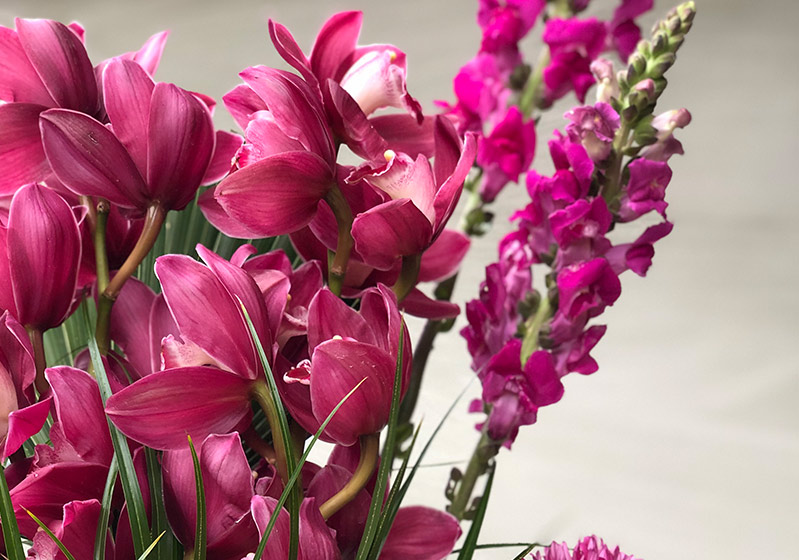 The 5 Most Beautiful Winter Flowers