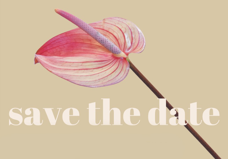 The Most Stunning Launch of the Year with RIBBON You Are The Flower