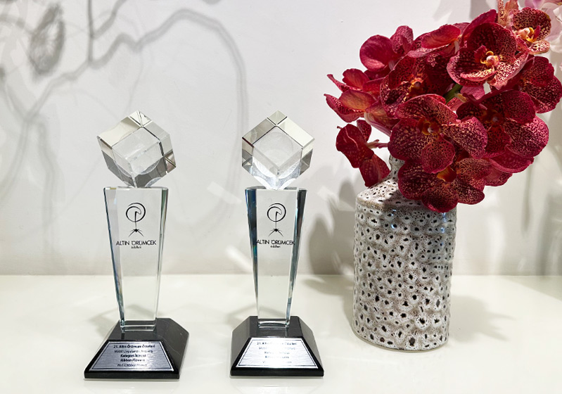 We Won 2nd Place in 2 Categories at the 2023 Golden Spider Awards!