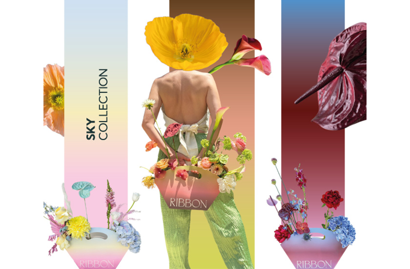 RIBBON SKY COLLECTION