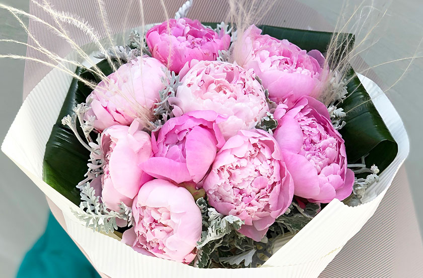 Peony Flower: Meaning, Care and Story