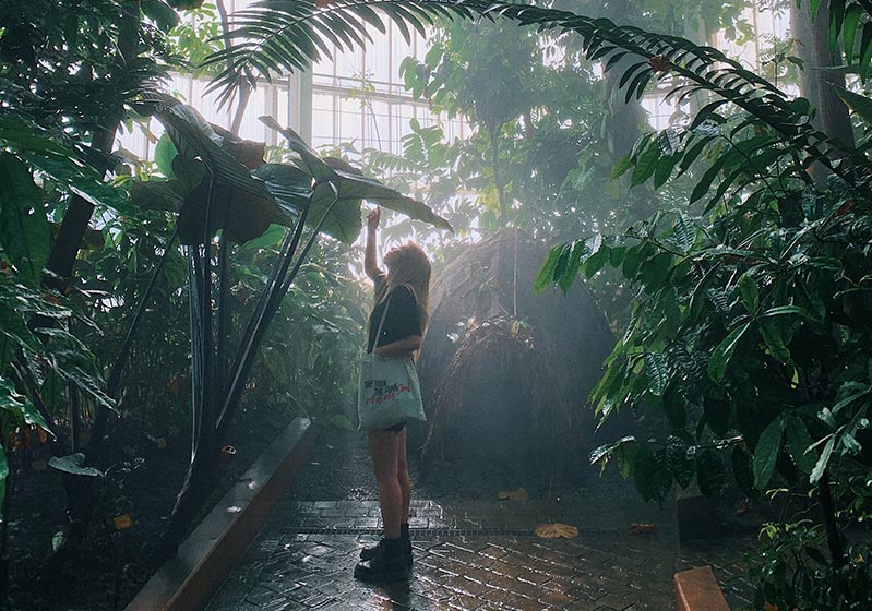 The Worlds Most Famous Botanical Gardens